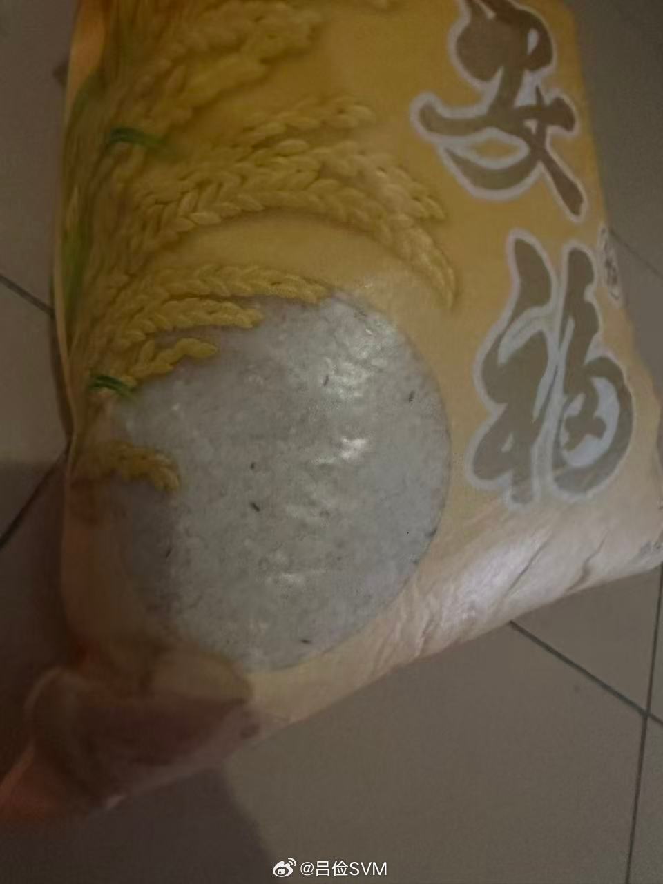 昨天收拾家里，发现家里怎么有小飞虫，查来查去，发现是米虫。赶紧把米袋打开看看，果