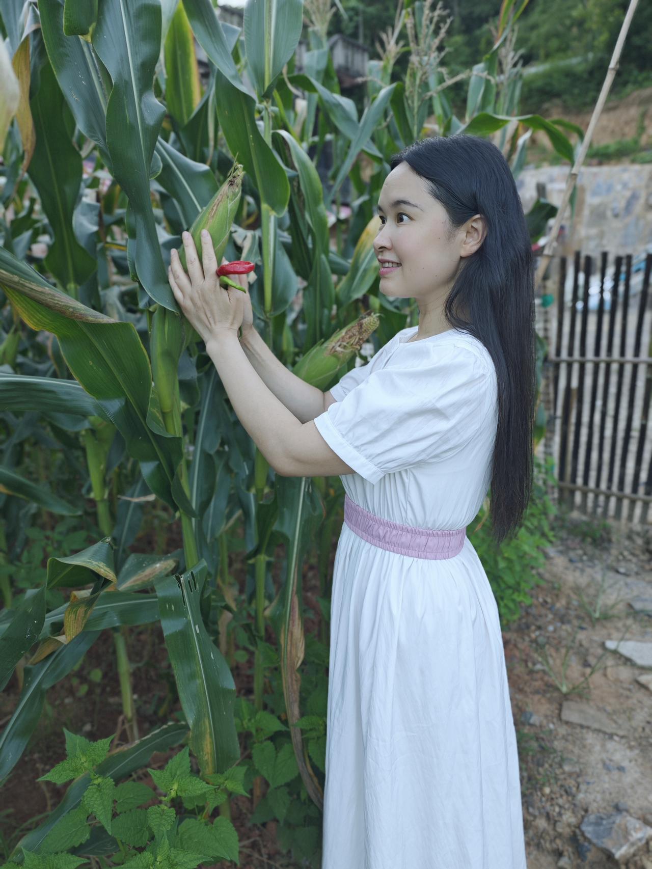 爸妈菜地里的“偷菜贼”[偷笑]。

还顺便“偷”了西瓜和玉米[偷笑]。