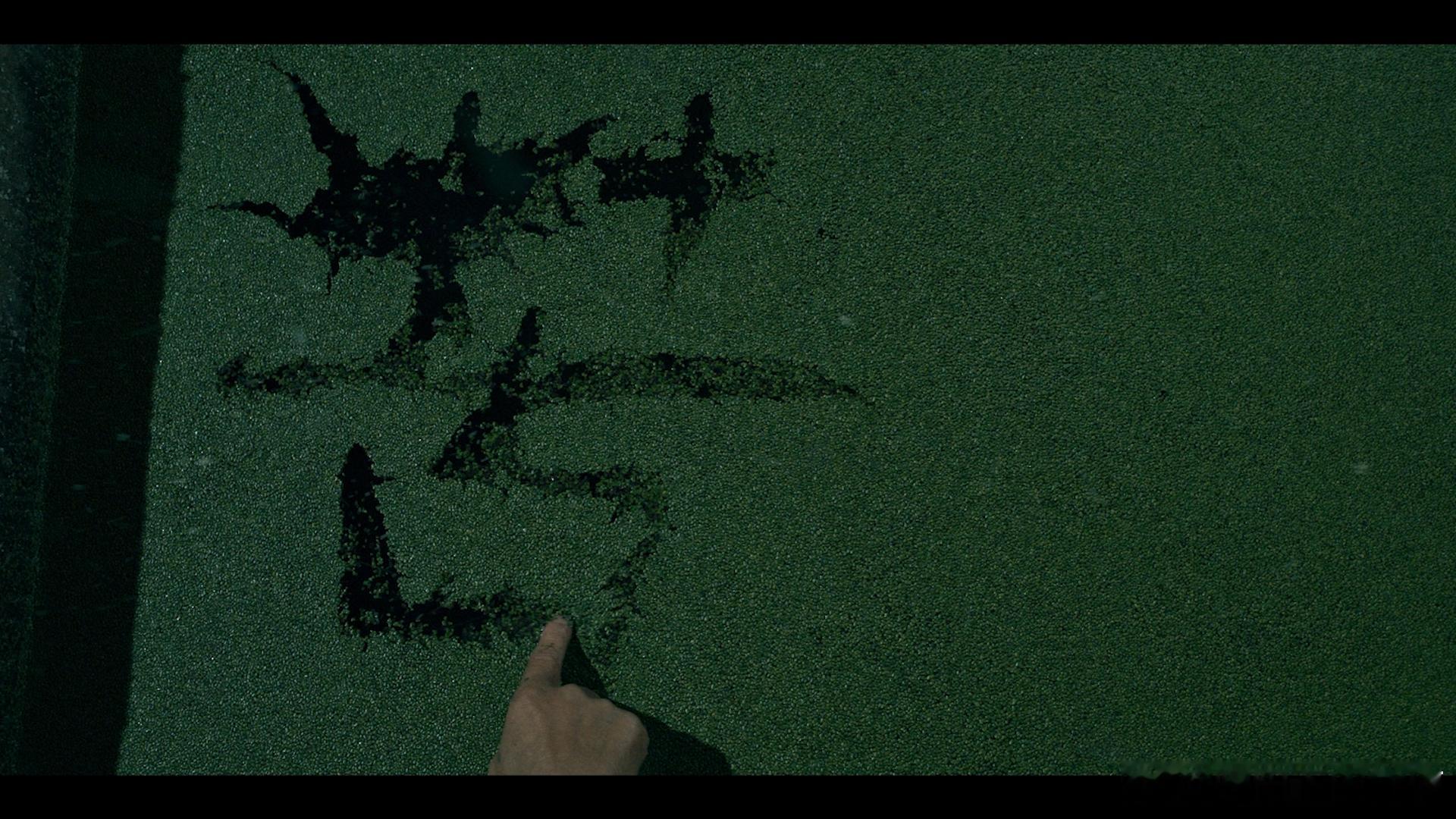 冬天的第一场电影必须留给《狂野时代》！它没有快节奏的刺激剧情，也没有嘻嘻哈哈的无