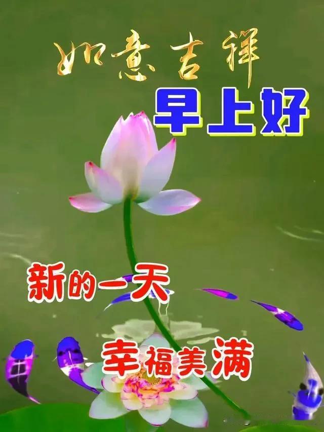 “新的一天，幸福满满，早上好！”🌸✨祝福从早安开始 早晨美好祝福送 早上好l早