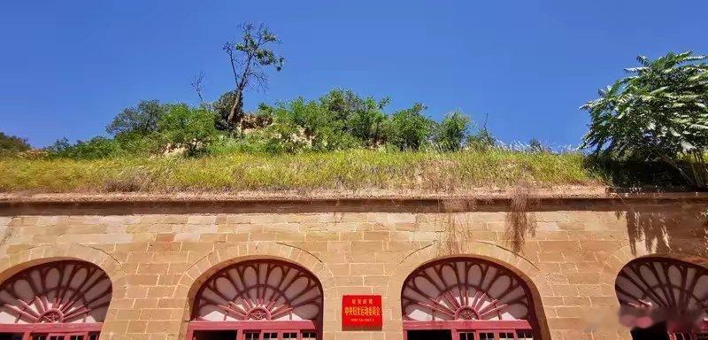 俄罗斯学者三记闷棍敲醒国人，延安绝非网红打卡地我四年前去延安拍了枣园游客照、在宝