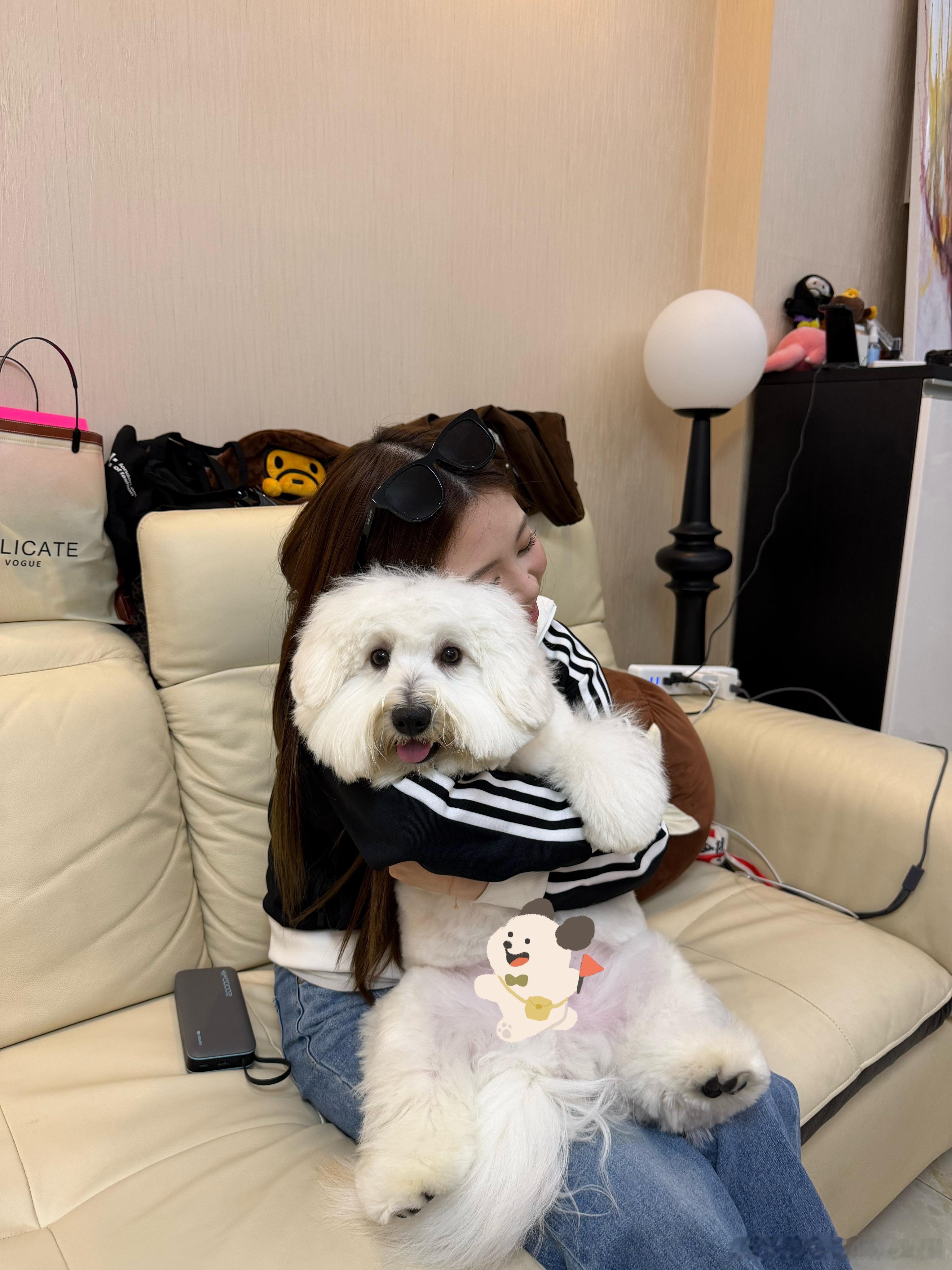 麦兜～～～ 