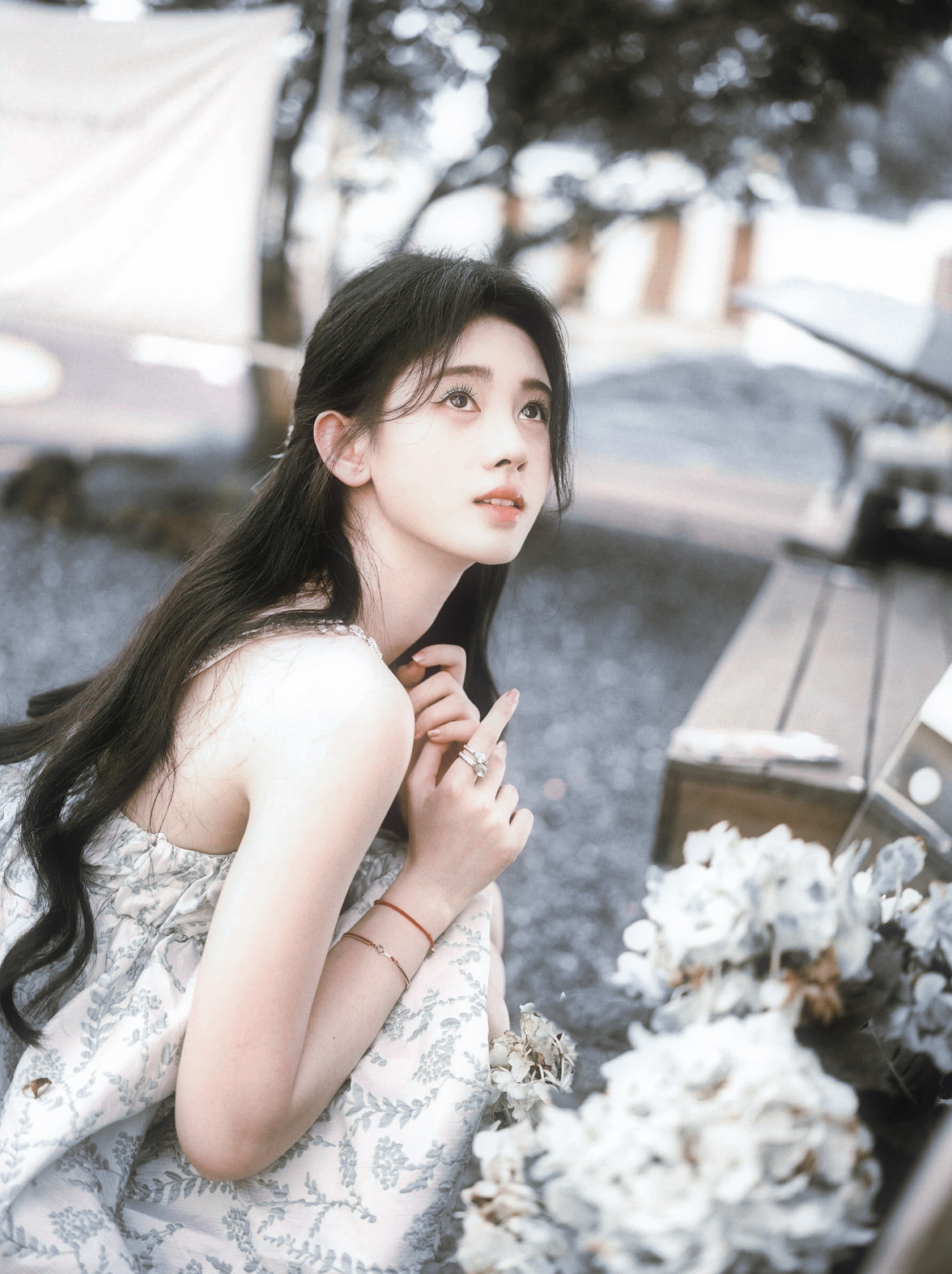 鞠婧祎🌳🍃✨鞠婧祎
