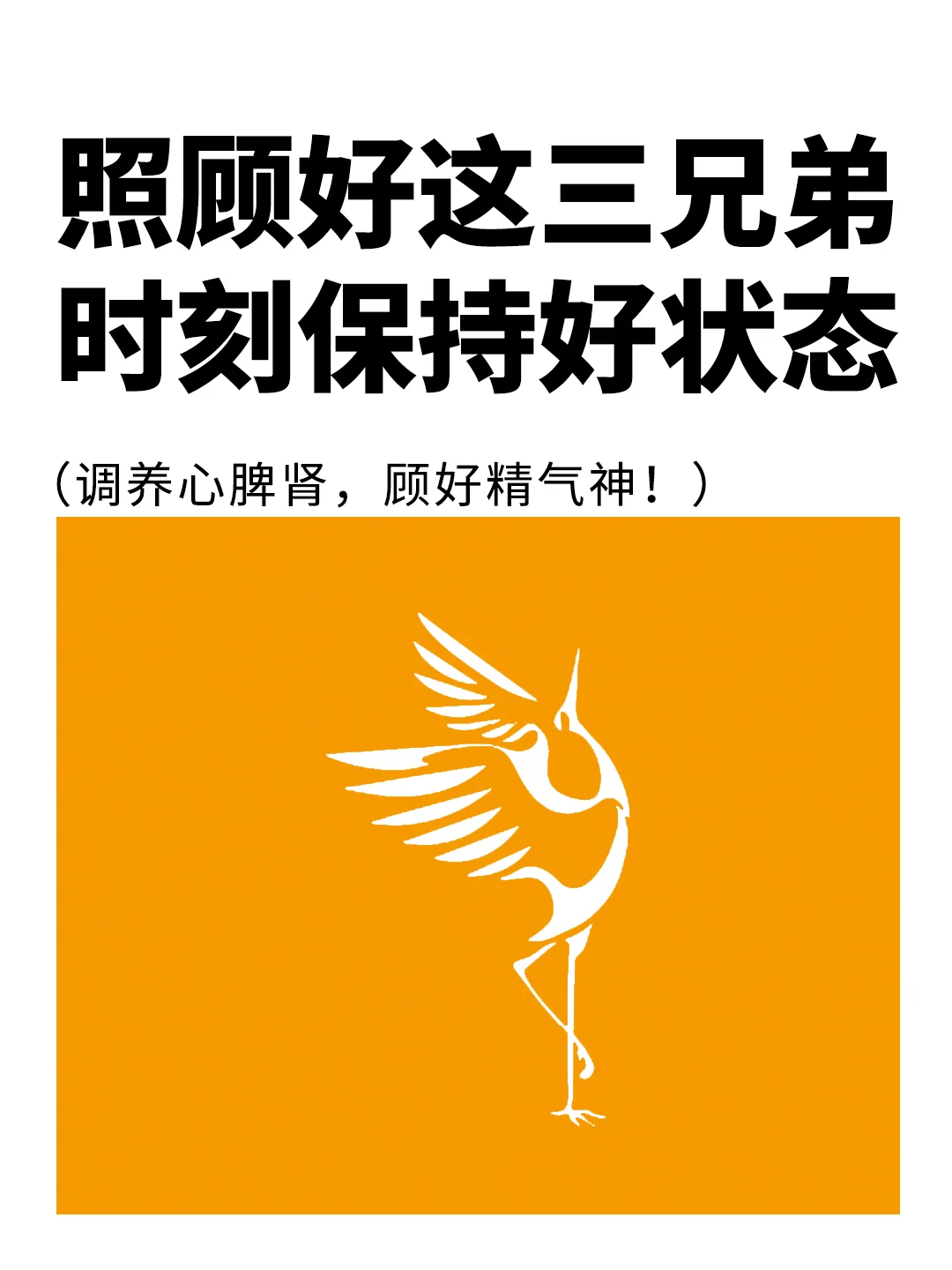 照顾好这三兄弟，时刻保持好状态，快来看看👀