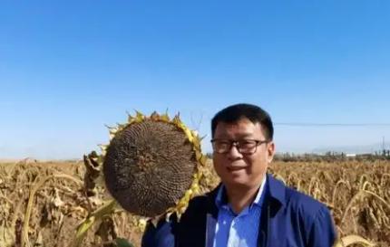 我国工程界大“乌龙”事件！2009年，重庆大学教授易志坚在研究物质力学时，意外发