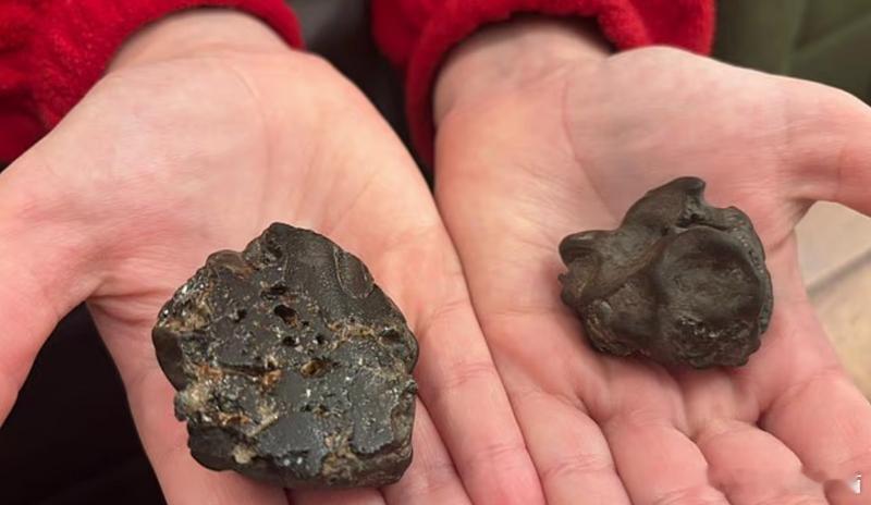 英国9岁女孩海滩“捡宝” 专家确认：45亿年前罕见陨石海外新鲜事 英国威尔士近日