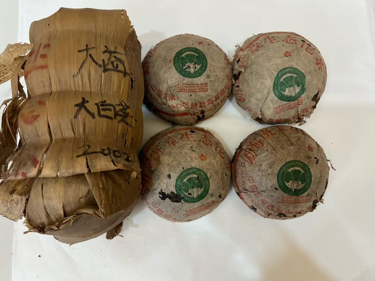 2002年班章白菜沱，纯正广东干仓高香。白菜🥬品质好茶。02班章白菜沱 普洱茶