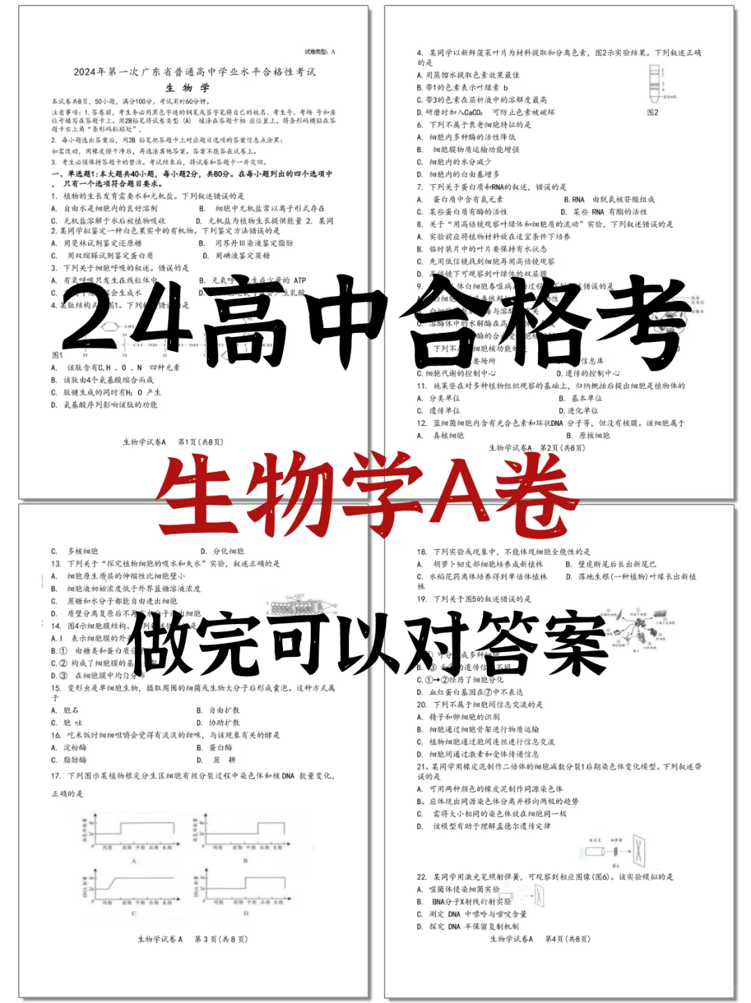 24广东合格考|生物学A卷附答案
