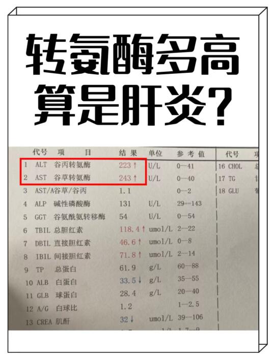 转氨酶多高算是肝炎？