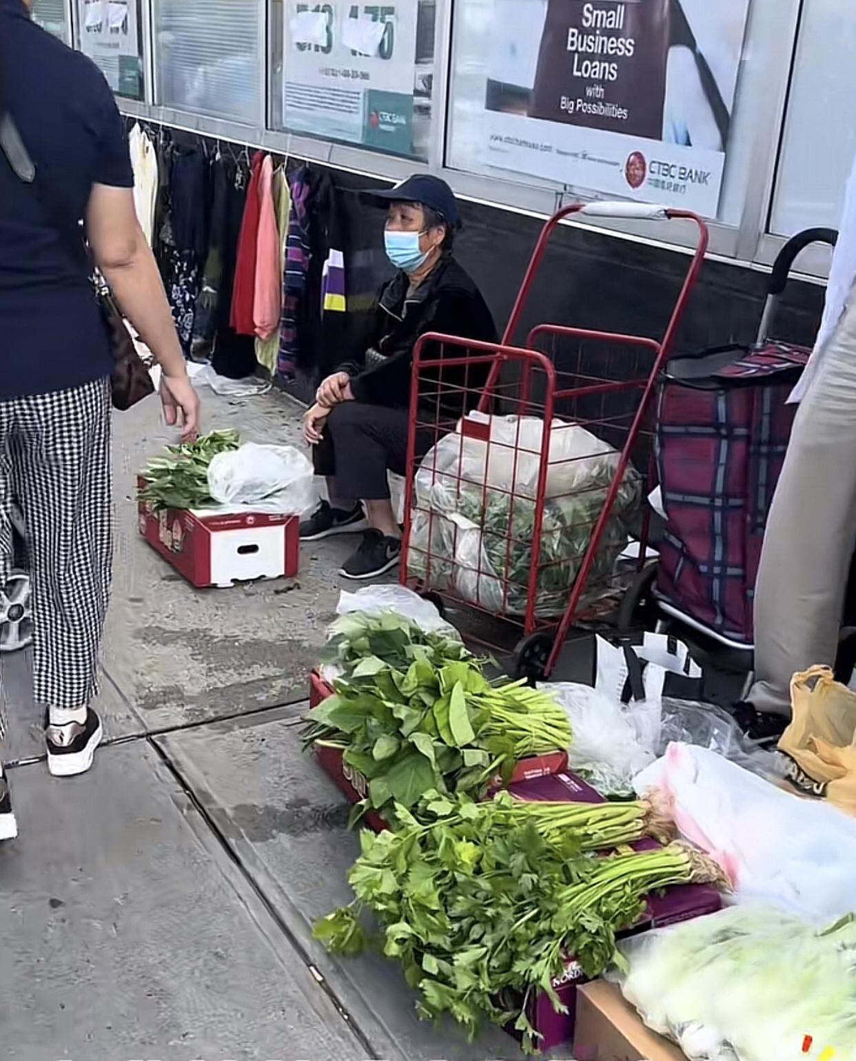 这是纽约法拉盛，你信吗？
那边屋前屋后不允许种菜，种菜邻居立马举报，只能养花。这