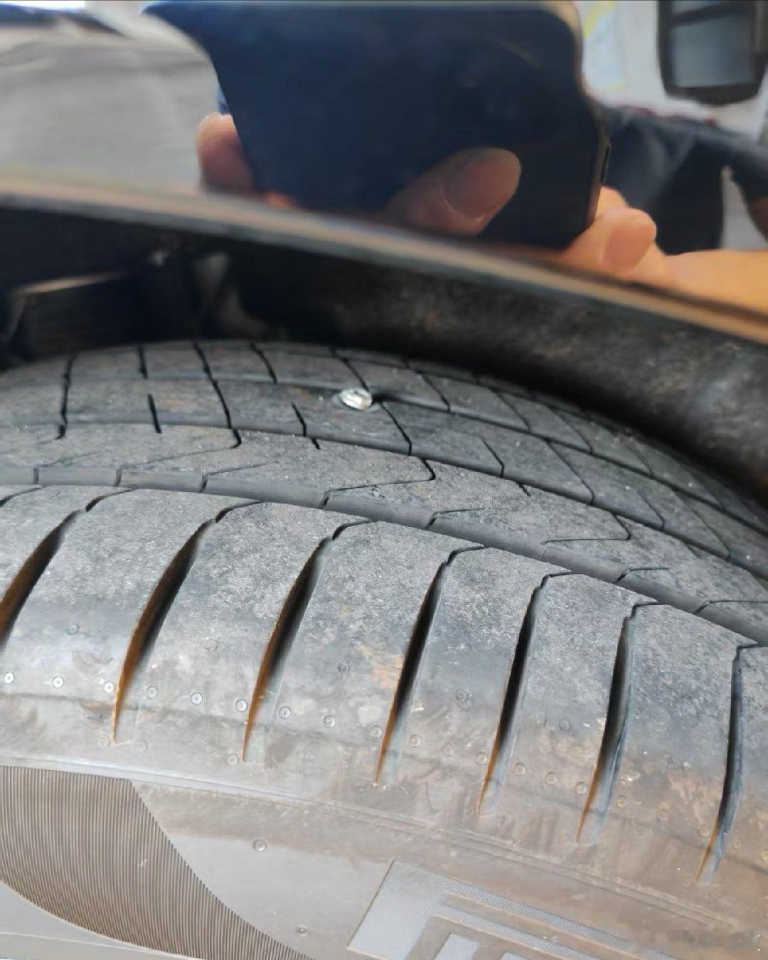 胖7被钉子扎了，瞬间不开心了🙁。 