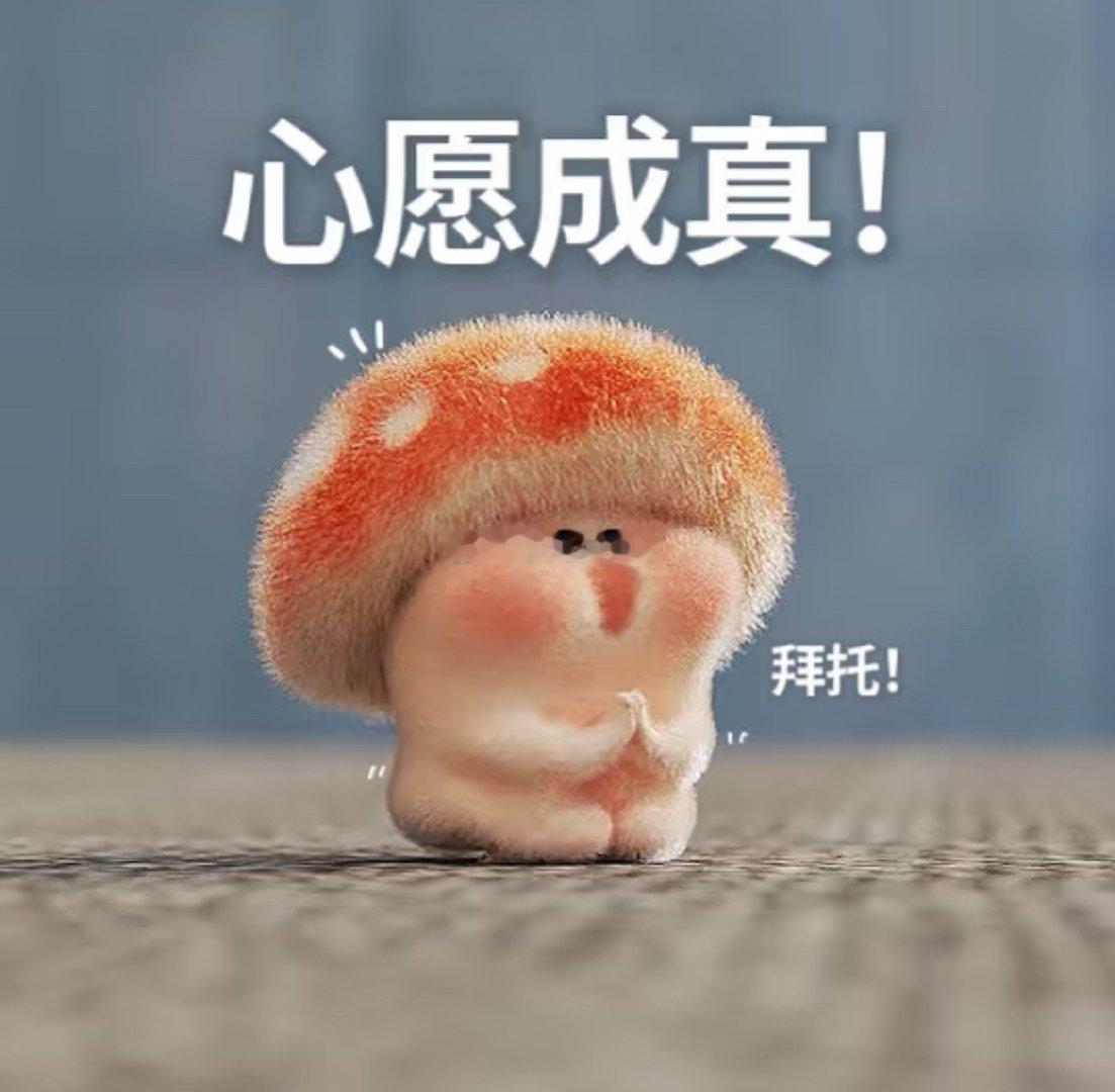 早呀宝宝们！我真的巨喜欢女孩子笔下的文章和日常，超级细腻又温柔，就和感同身受一样