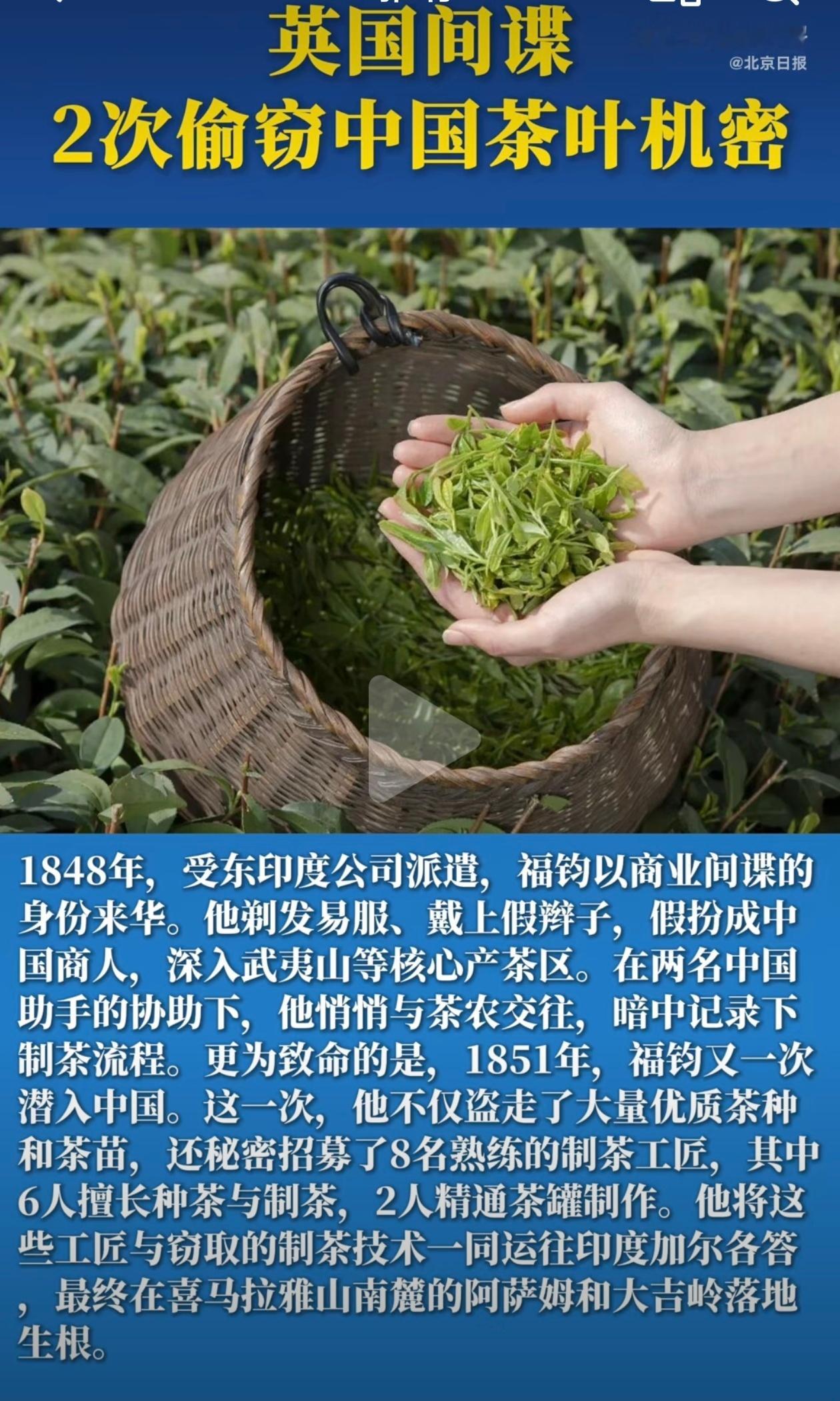 这比直接抢还狠——武力敲开门，偷走核心配方，再规模化反打原主。茶叶是这样，现在芯