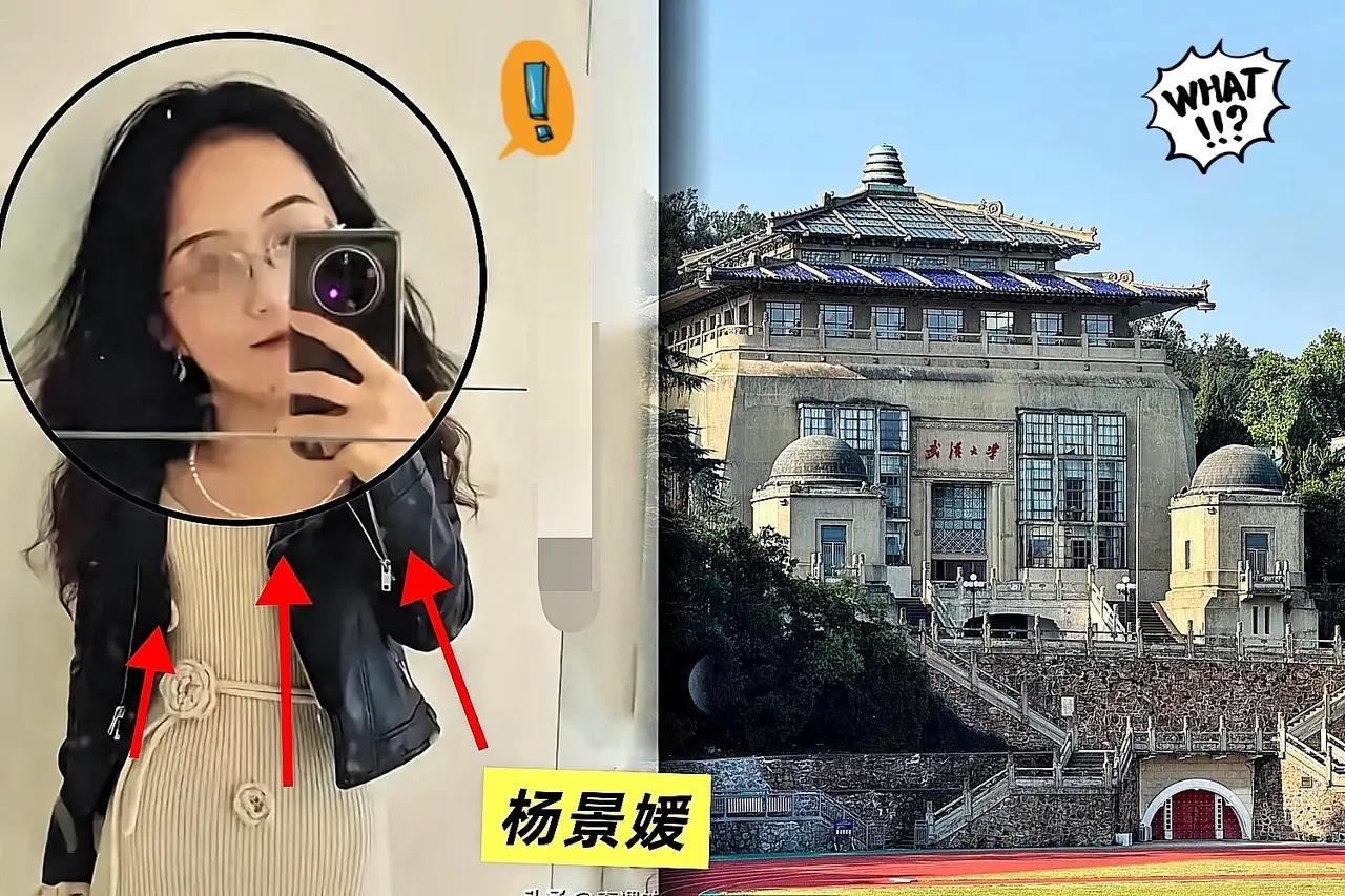 武大杨某媛在撤稿前，那篇《中印生育行为影响家庭暴力的经济学分析》错漏百出。把新中
