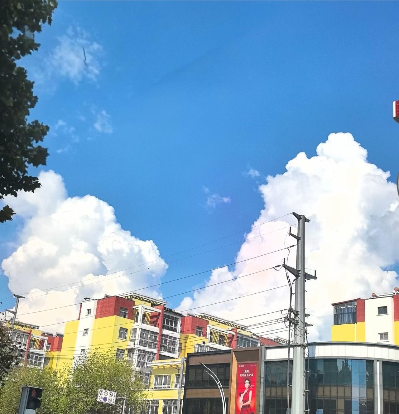 不必追逐万丈风光，心中安稳，便是最好的日常。
​七夕快乐！