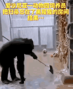 饲养员一点都靠不住，还得自己搞卫生... ​​​
