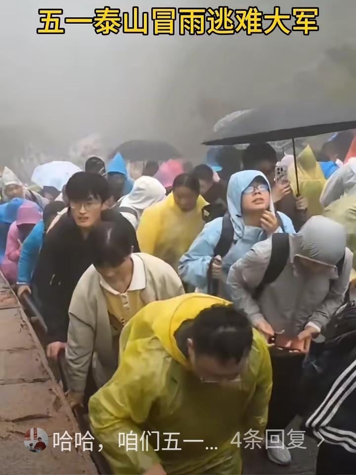 五一泰山冒雨逃难大军。远看像一群要饭的，近看像一群逃难的，仔细一看都是吃饱了撑的