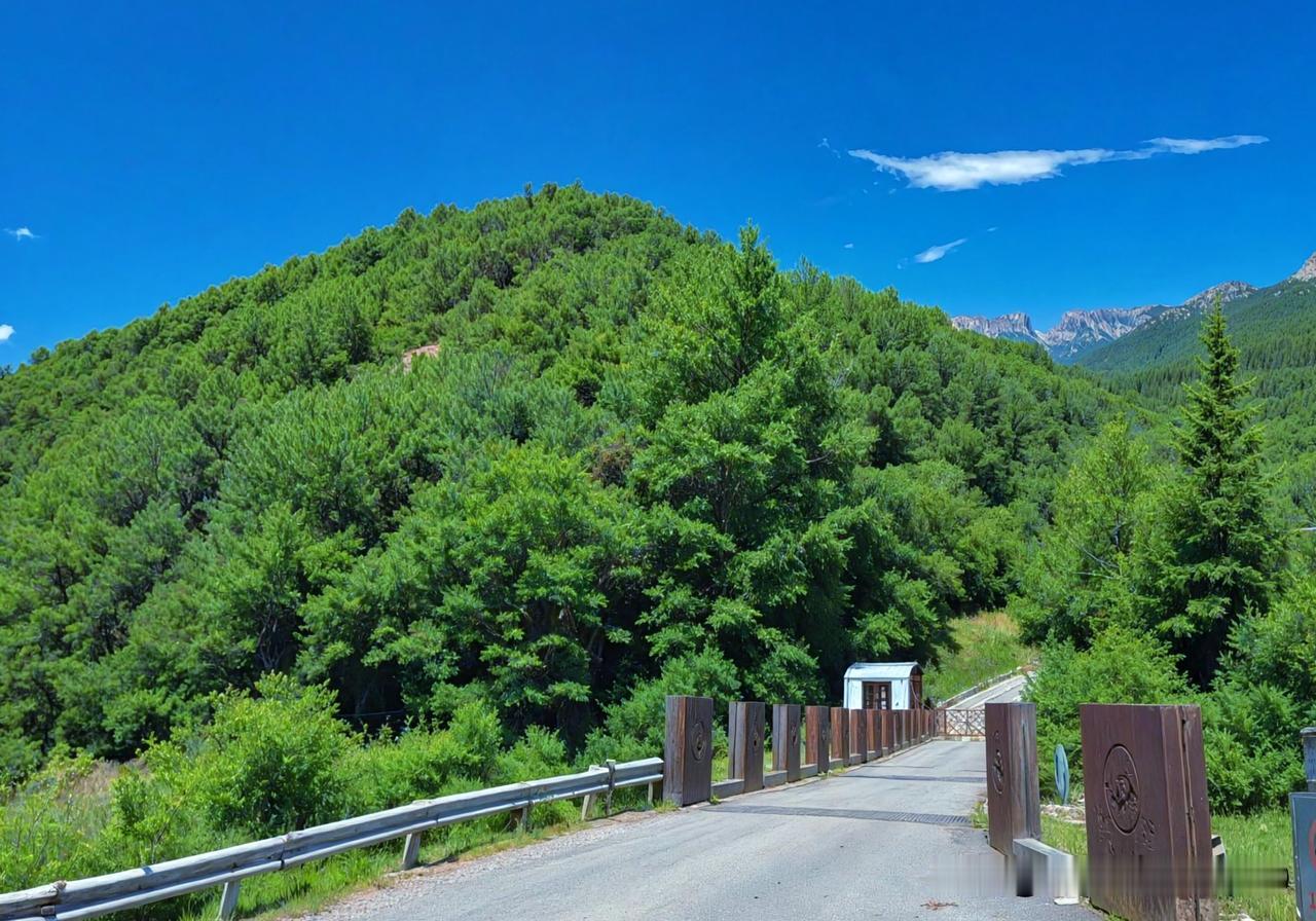周末去了郊外一处小众公园，那真的是绿树成荫，风景美如画。一进公园，满眼都是翠绿的