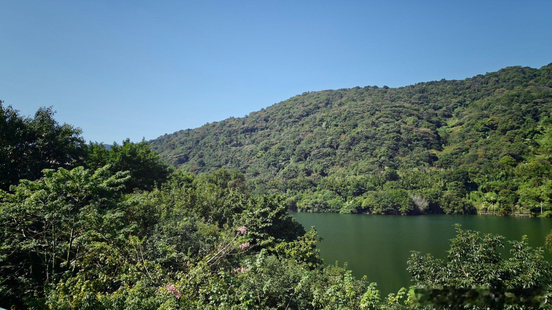 以前一直没有注意到，广东这么美。 