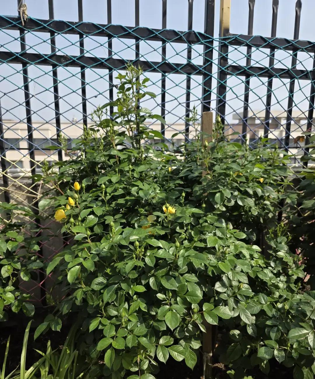 昨晚三点刷手机，看到十年前的旧照片，眼泪一下就崩了。

那个人走了整整十年，我还