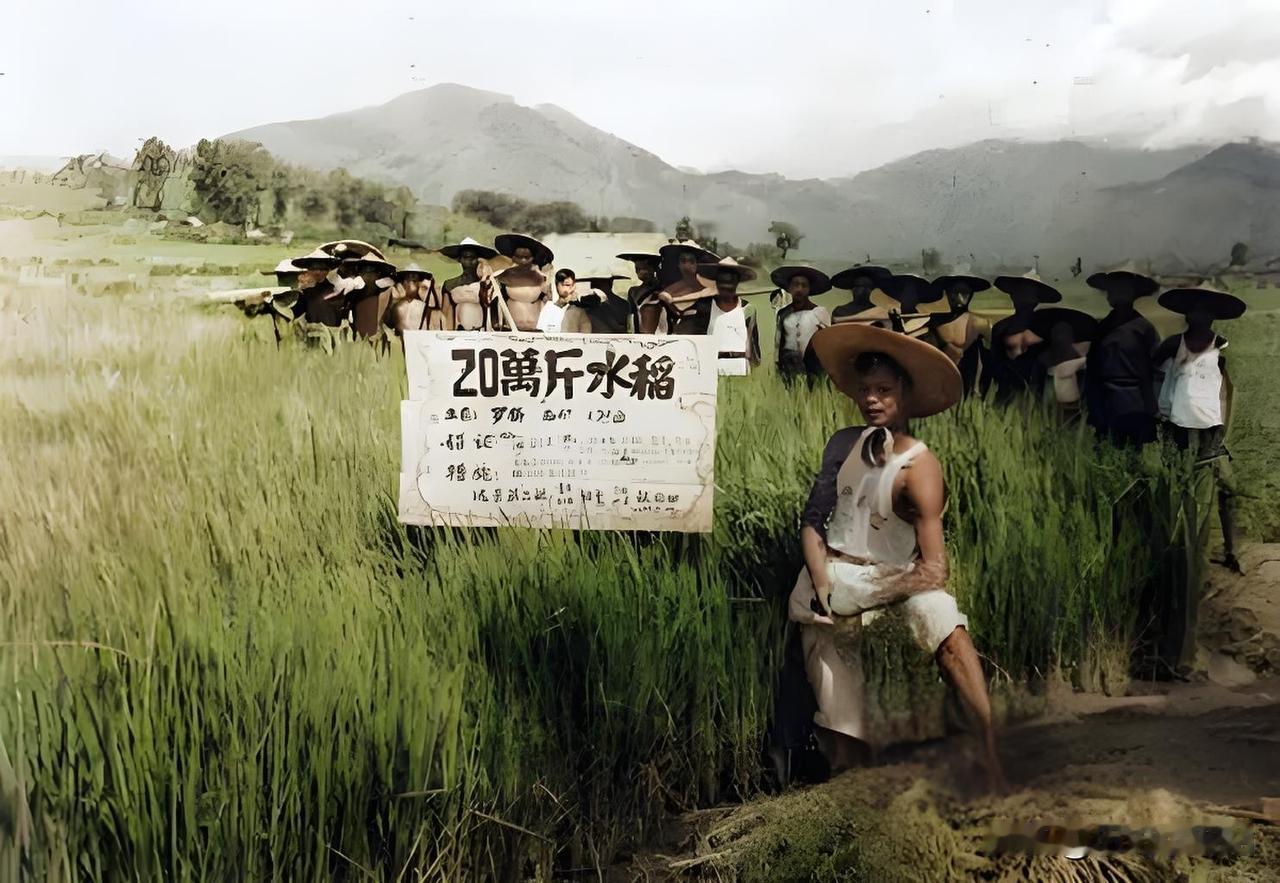 1958年，“大跃进” 浪潮裹挟着 “浮夸风” 甚嚣尘上。在一片农田边，一群民众