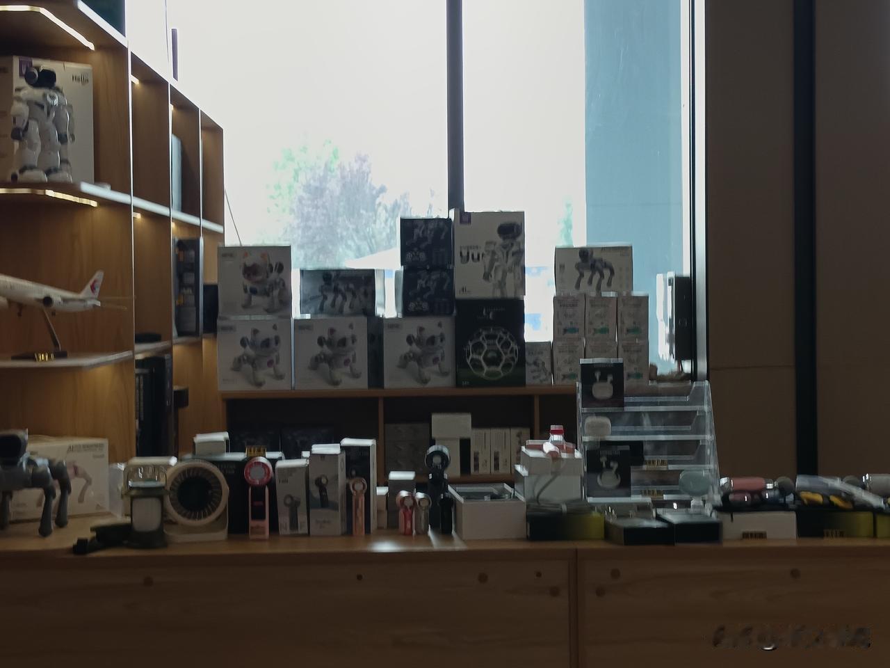 现在机器狗玩具成为小朋友新宠，到处都有卖的。在高速公路服务区，停车休息的时候，就