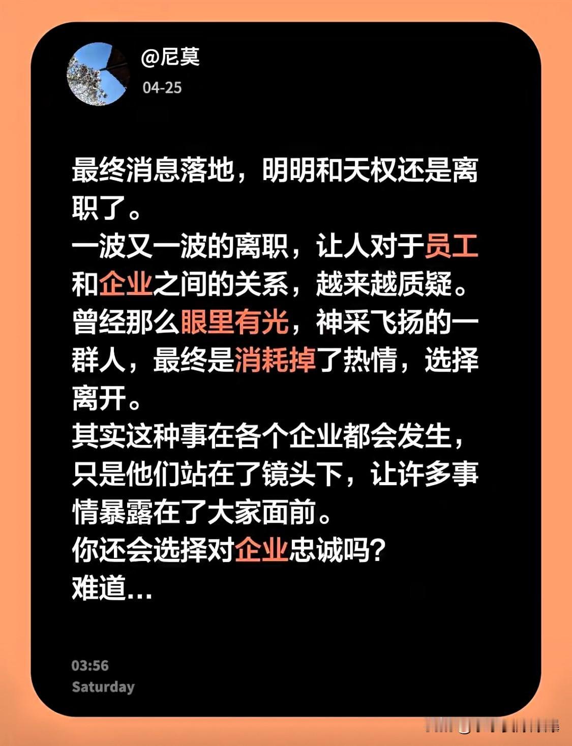 职场里的忠诚，往往是个伪命题。

靴子到底还是落地了。

明明和天权正式离场。