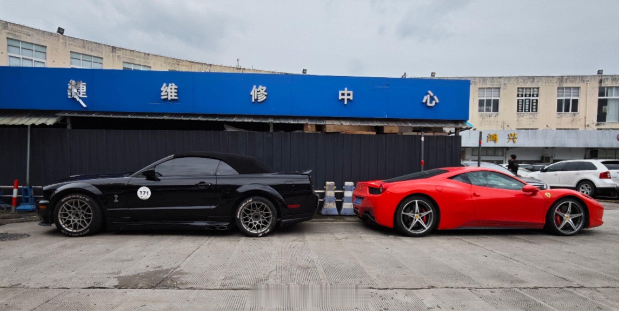 两匹马，一样价选哪个？为什么❓ ​​​