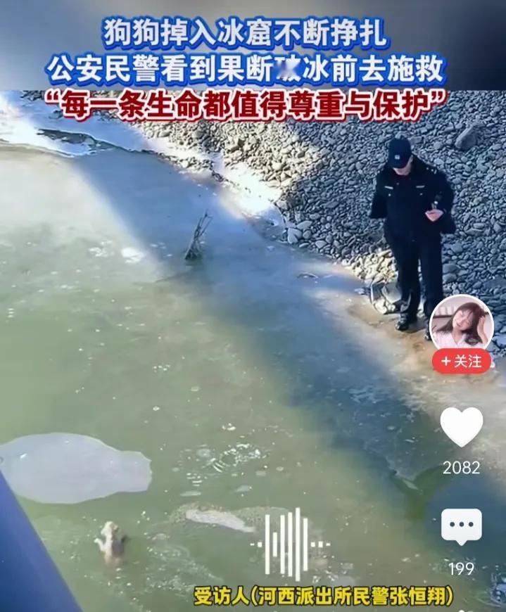 对狗如此，对人也不会差！

民警看到狗狗在冰冻的水面上，不断的挣扎，心有不忍，最
