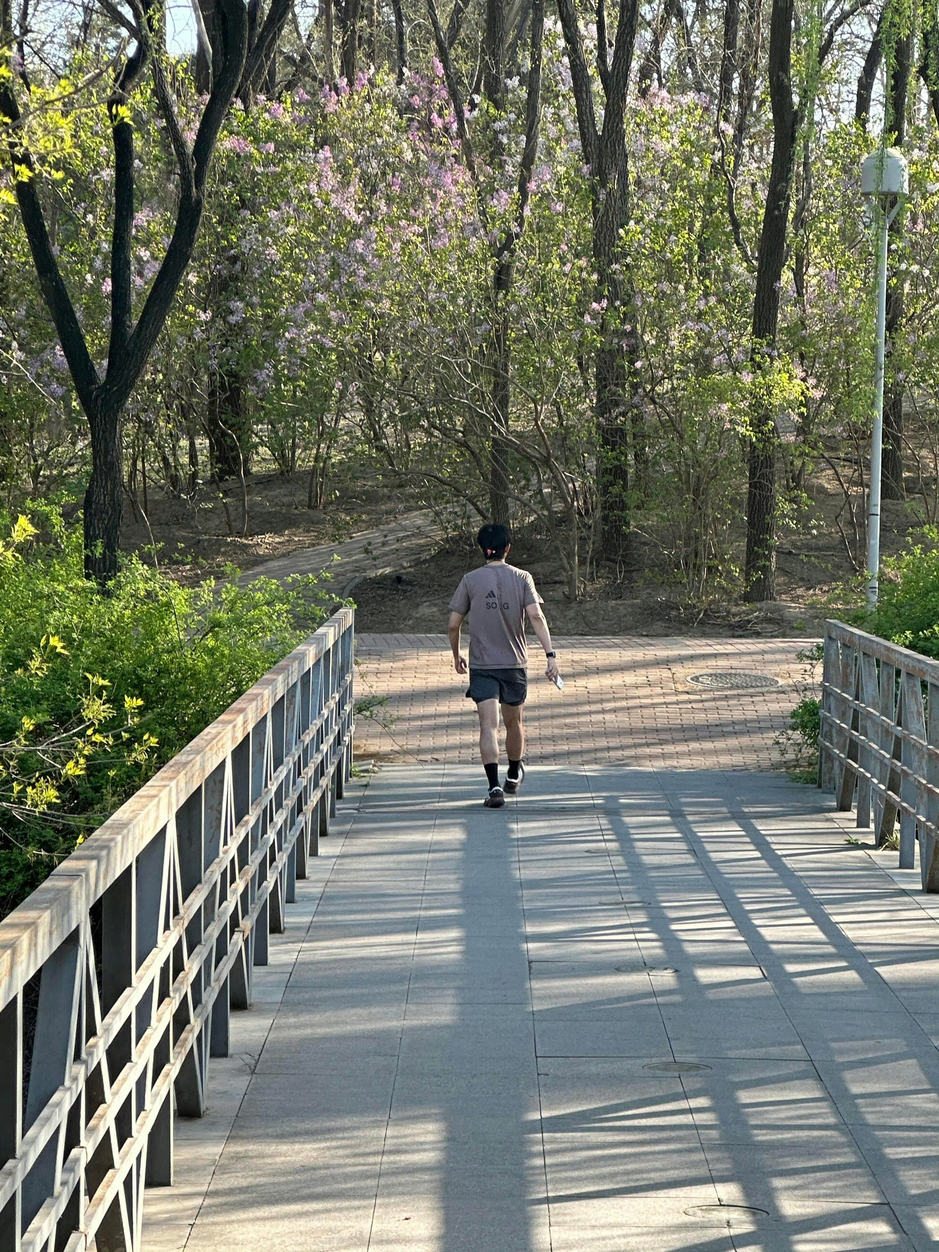 不知道的还以为你在备战马拉松，天天跑 