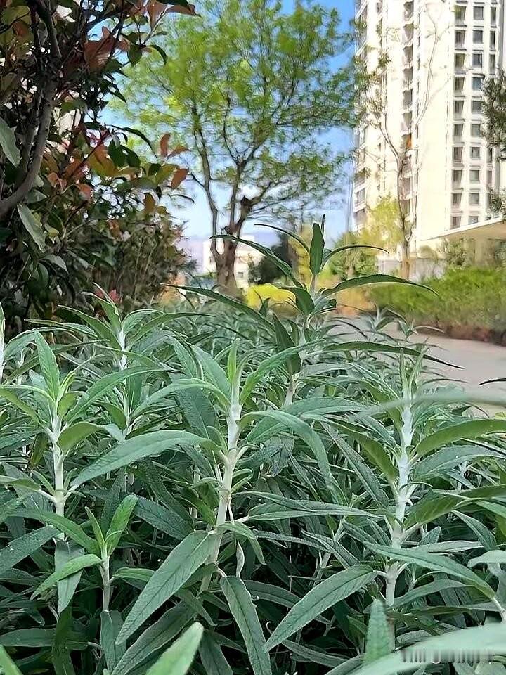孩子给你买件衣服、发个红包、带点吃的，别急着往回推。
你收下的不是那点钱，是他攒
