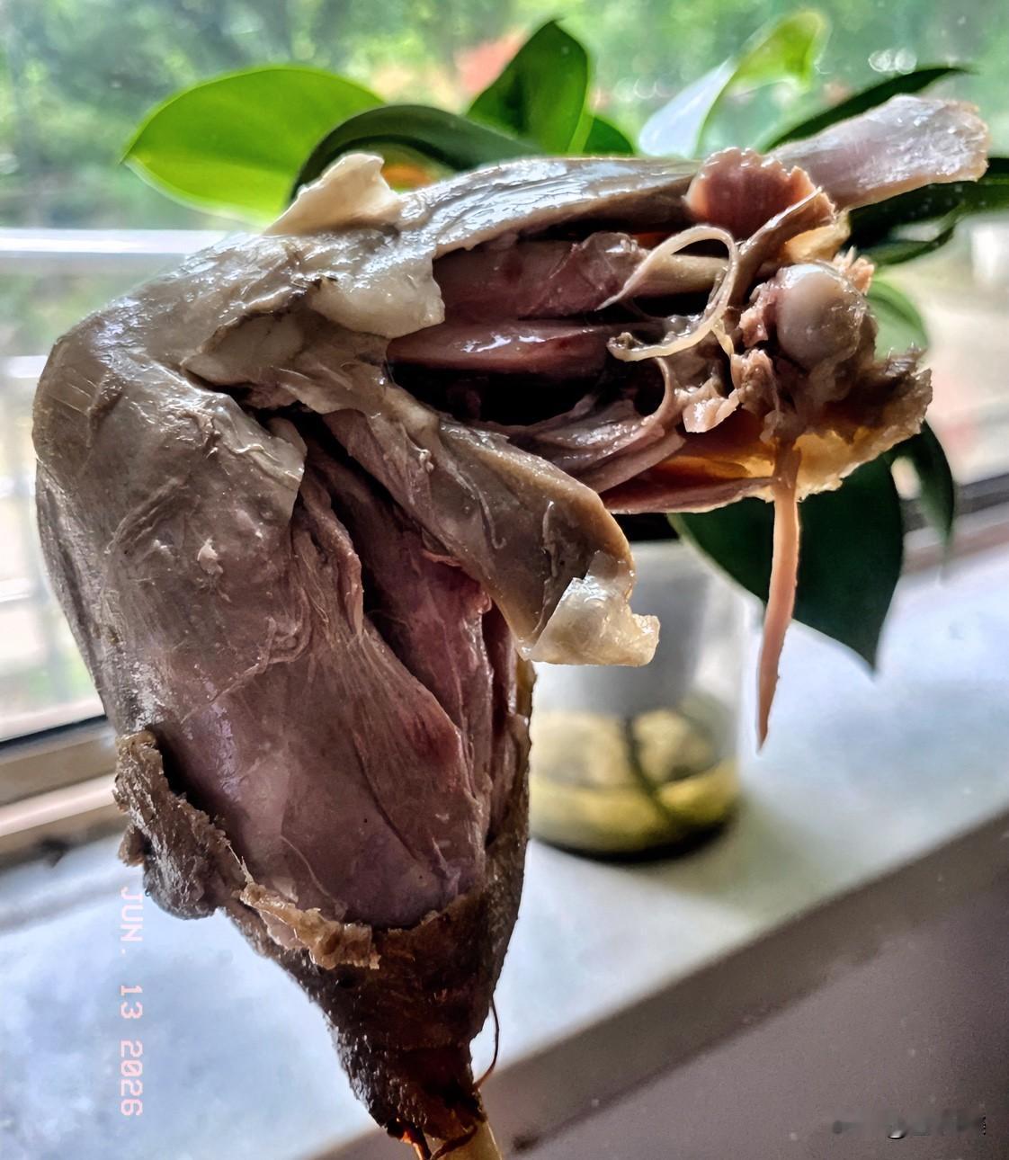 《101岁的新邻居》
今天来到养老别墅，发现丈母娘隔壁新邻居是位同姓的老阿爹。一