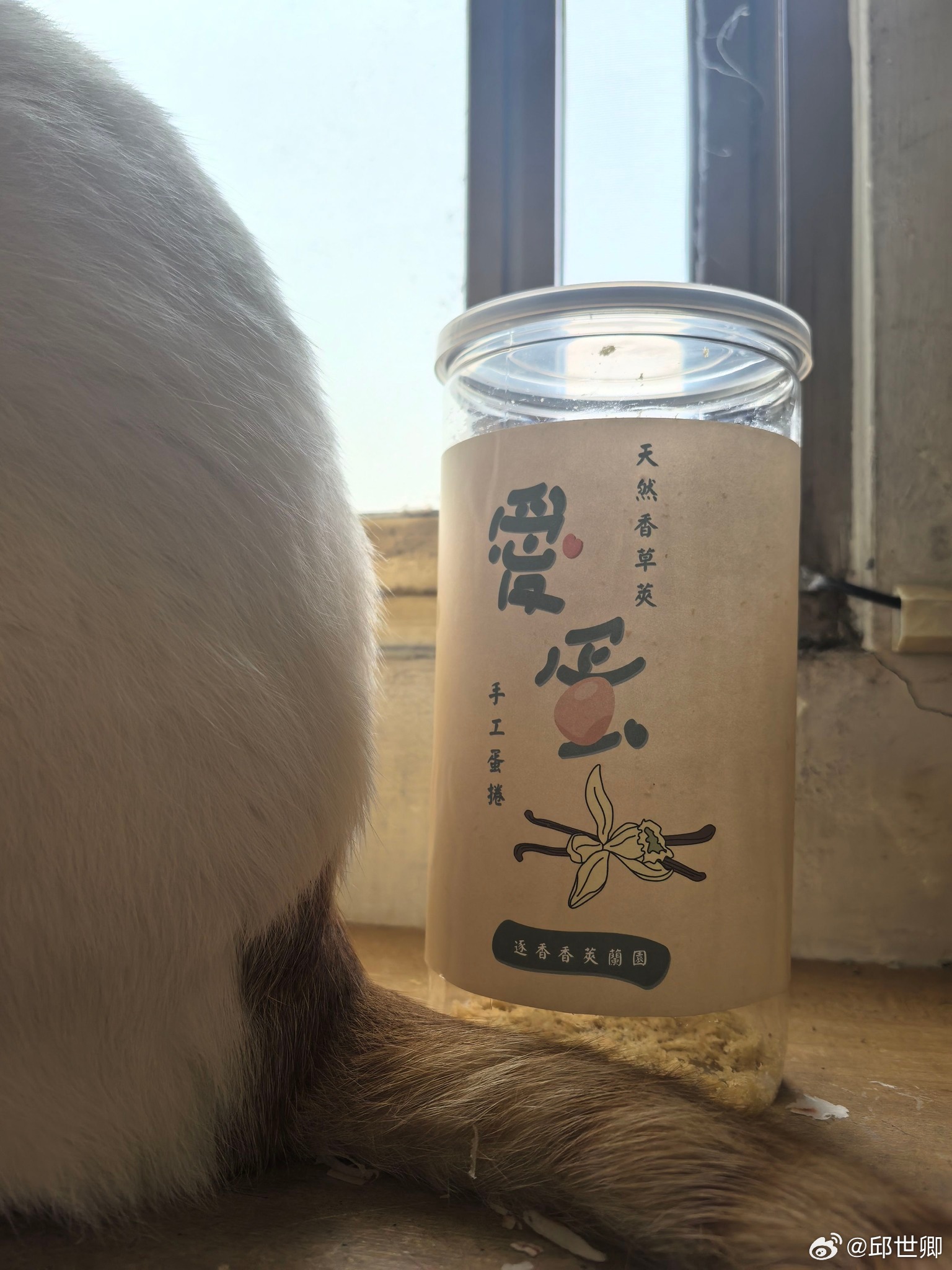 感謝委員送的蛋捲，陪我度過文明毀滅的一夜！吃光了，也停火了。 