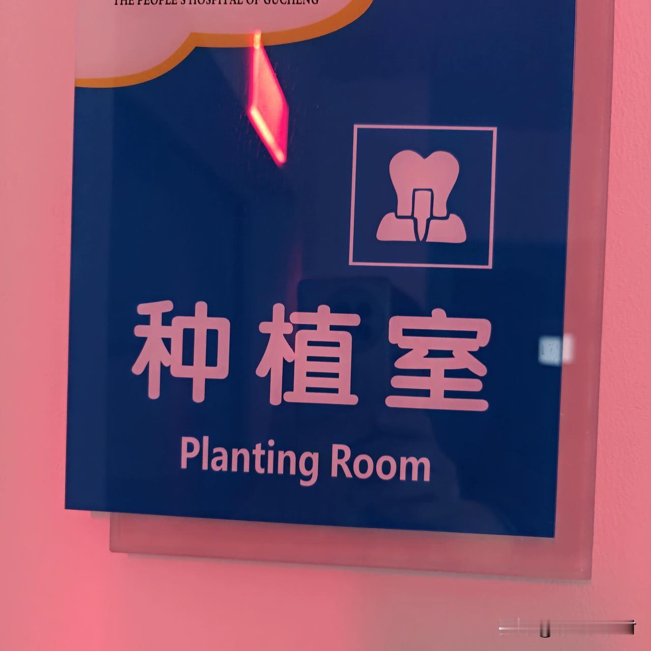 感受种牙全过程，不做不知道！既费时间，也费钱。人到年龄了，牙齿今天上火，明天发炎