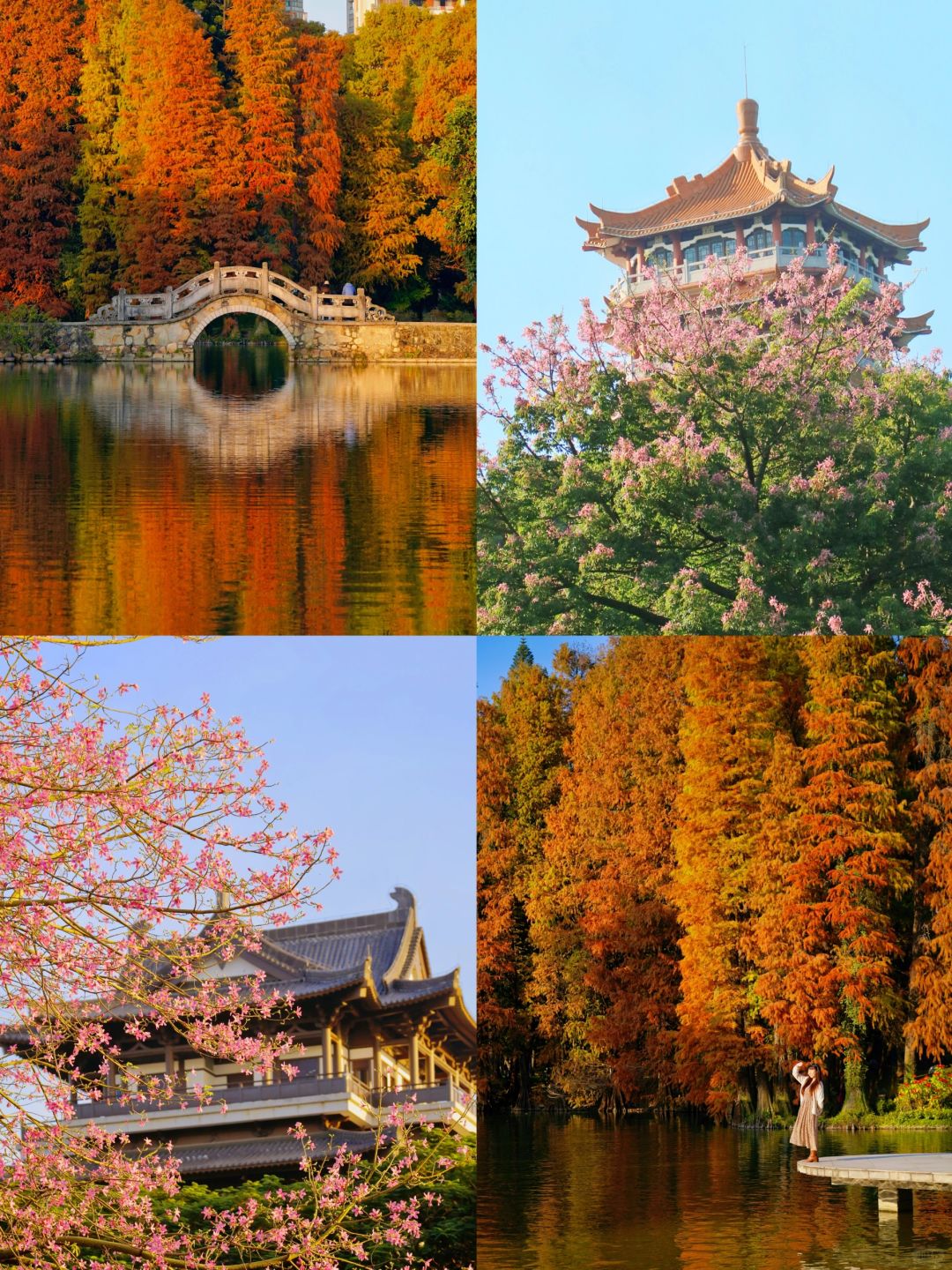 秋来了🍂接下来的广州比你想象的还要美