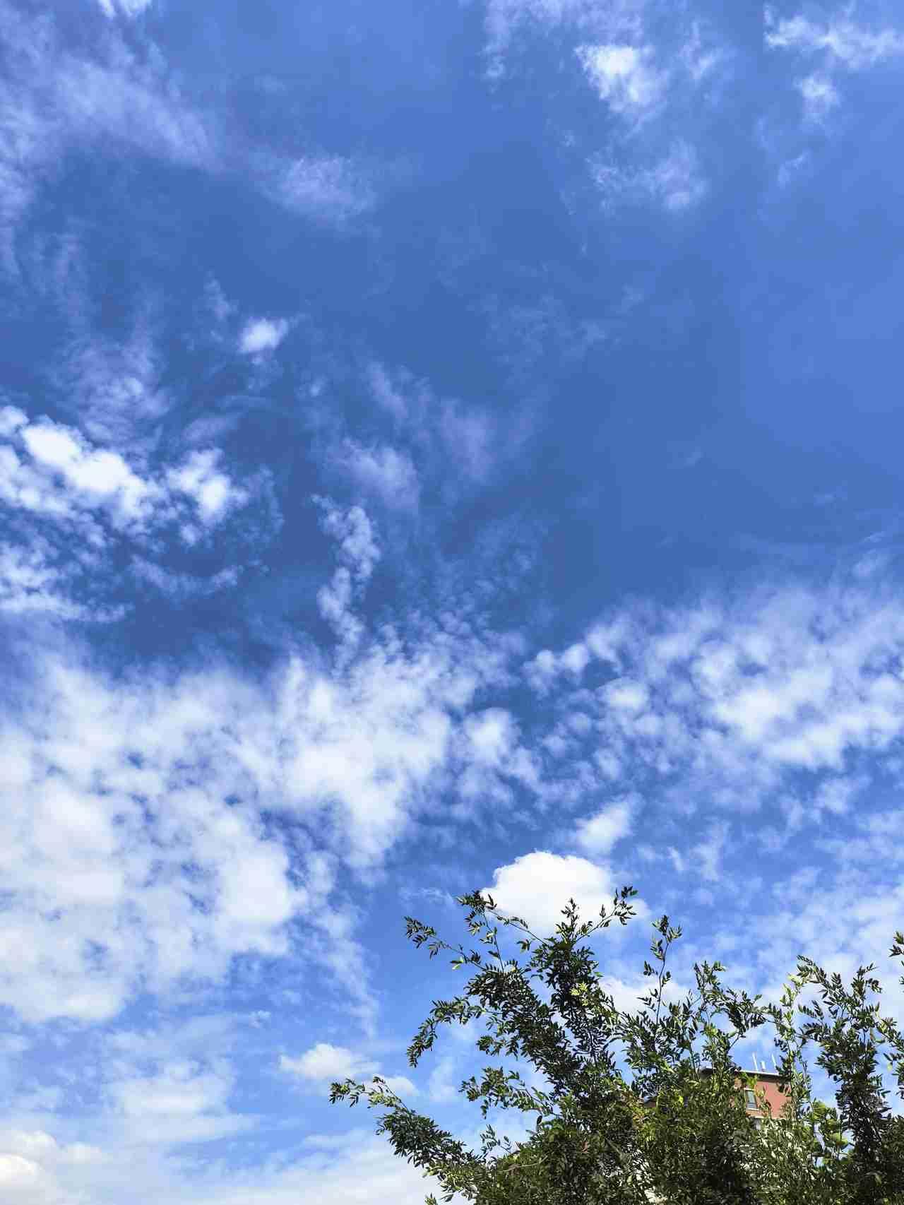 今天我们这里大晴天，空气质量优，最高气温29度，最低气温22度，今天风挺大的，西