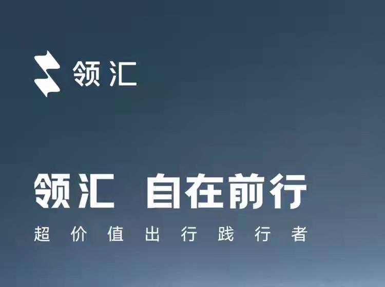 比亚迪领汇汽车，今早官宣发布，成为继方程豹、腾势、仰望之后，比亚迪第四款子品牌。