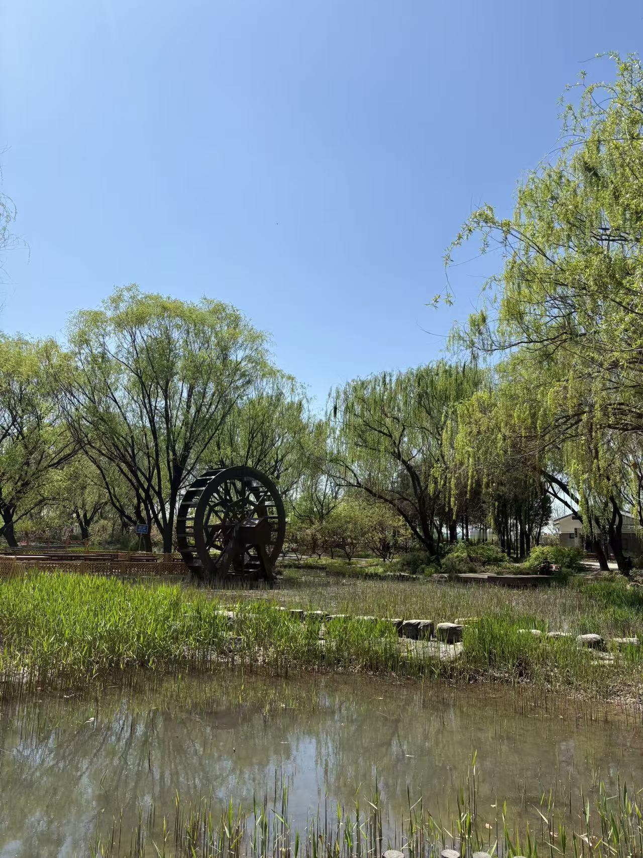 春日生活打卡季 春日去海淀公园打卡，那体验简直绝了！一进公园，满眼都是生机勃勃的