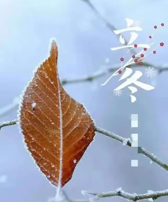 明日立冬

才感秋来，忽而立冬.
和秋天告别，与冬天相拥.
往事清零，爱恨随意