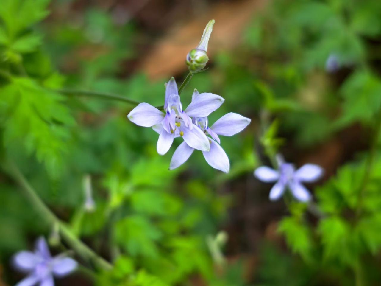 今天带孩子去西山转了下，空气真好，特别是雨后，空气清新树木郁郁葱葱，总之就是让人
