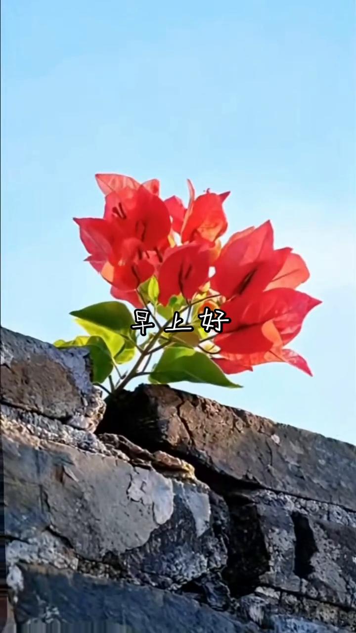 早上好。