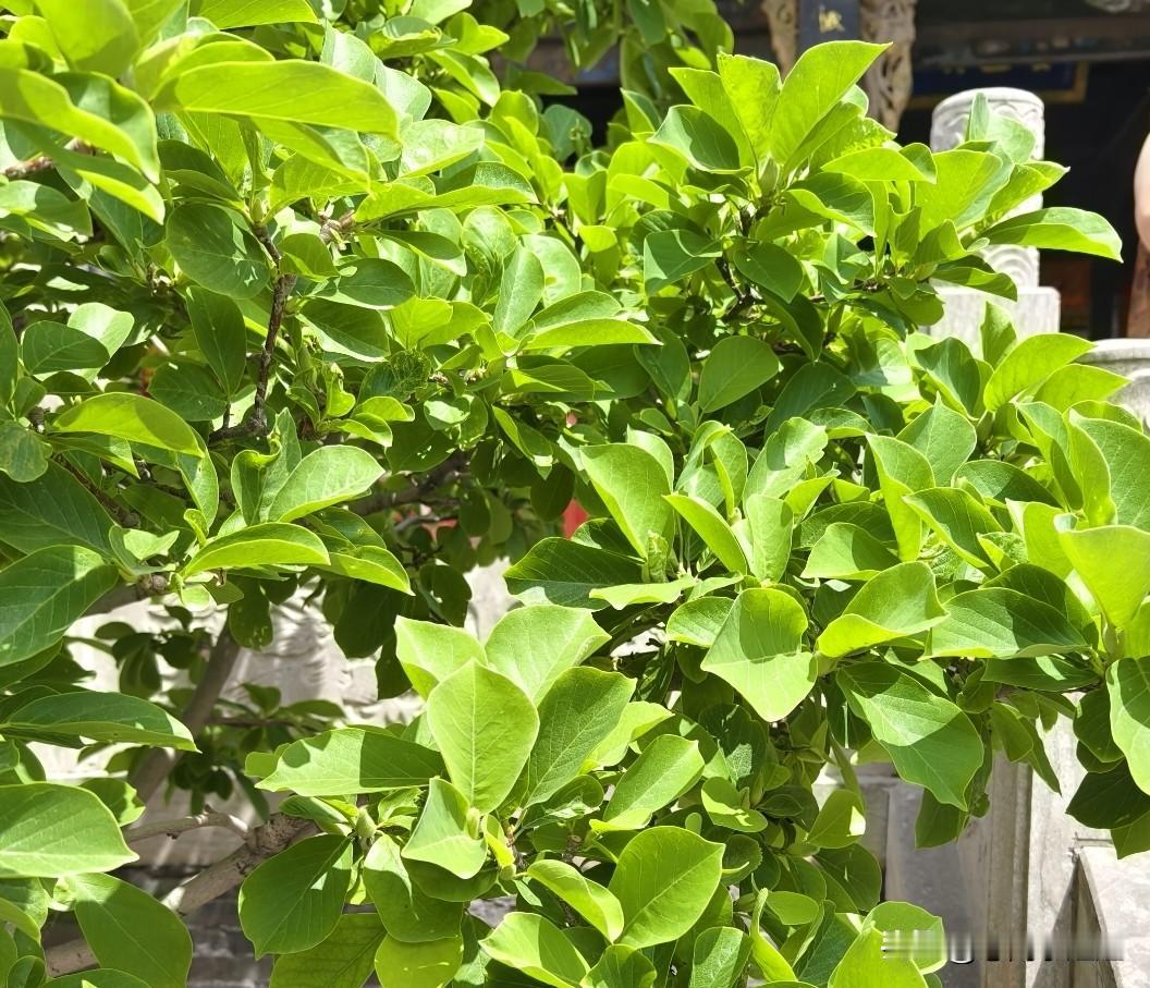 昨天一天特别顺，干什么都很顺。
去绵山玩一路很顺，下午乘动车回北京，晚上到家一路