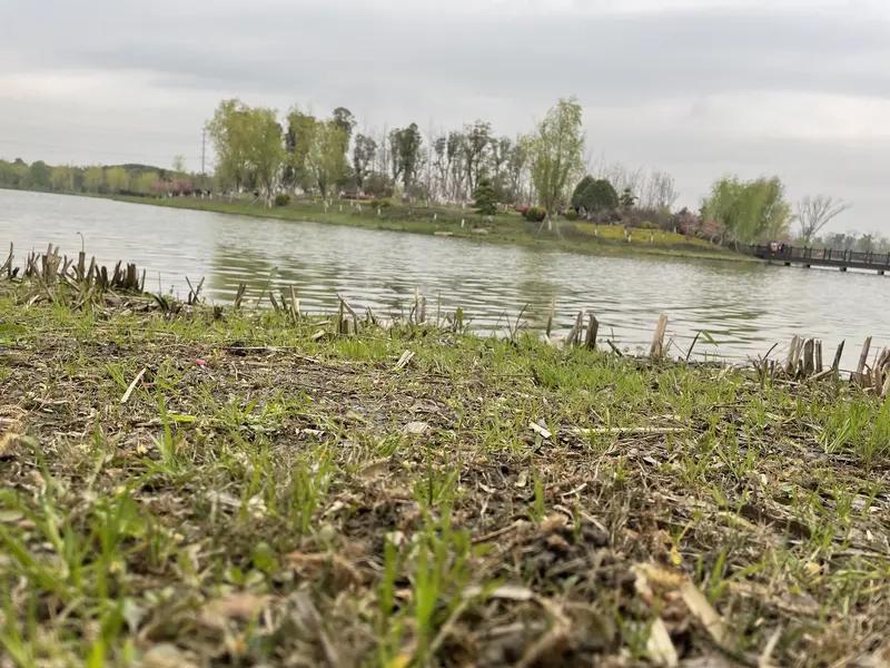 清明到底是踏青还是祭祖？

我觉得应该先去祭祖，再去踏青。感恩自己的来处，铭记自