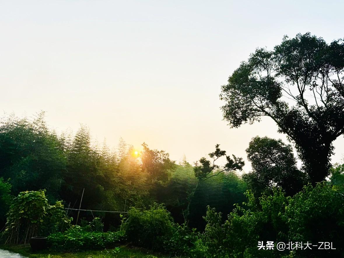 【快讯】森合高科获准注册，7月中旬前后发行

周五晚间北交所官网发布消息，广西森