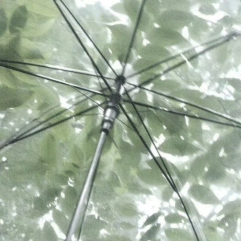 八月顺利𝙒𝙞𝙨𝙝𝙞𝙣𝙜 𝙮𝙤𝙪 𝙖 𝙨𝙢𝙤𝙤𝙩?