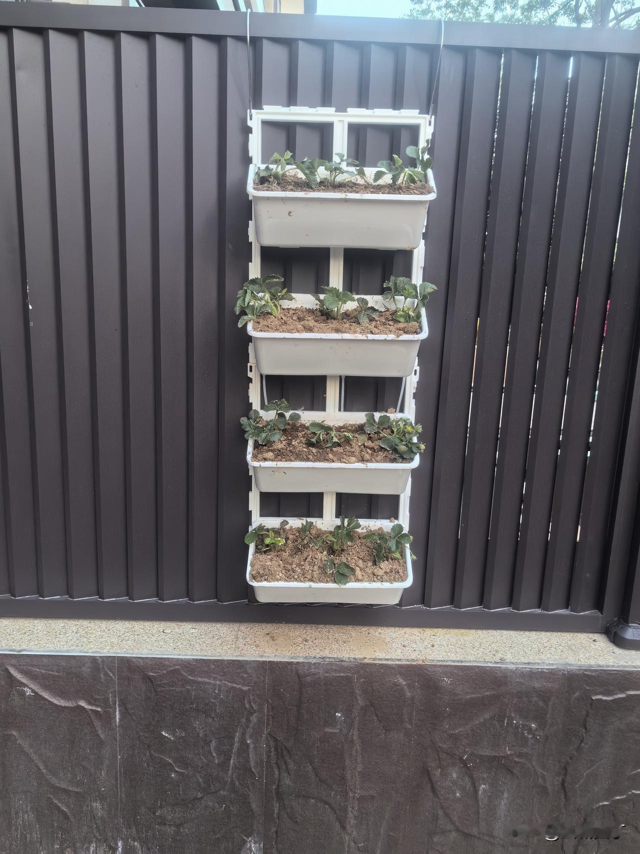 新邻居如我所料地联系了孩子他爹，我的直觉如此准，孩子他爹终于服了我一次。

买了