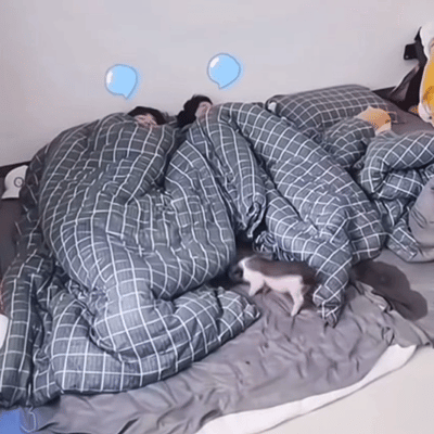 我才发现刘耀文下半身盖的是宋亚轩的被子，是怎么睡着睡着就把脚伸别人被子里去的 