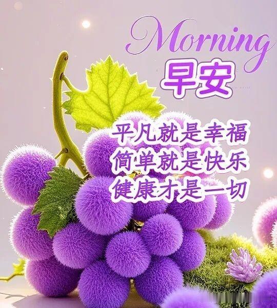 早安，平凡的幸福，简单的快乐，健康才是第一！🍇🌸
