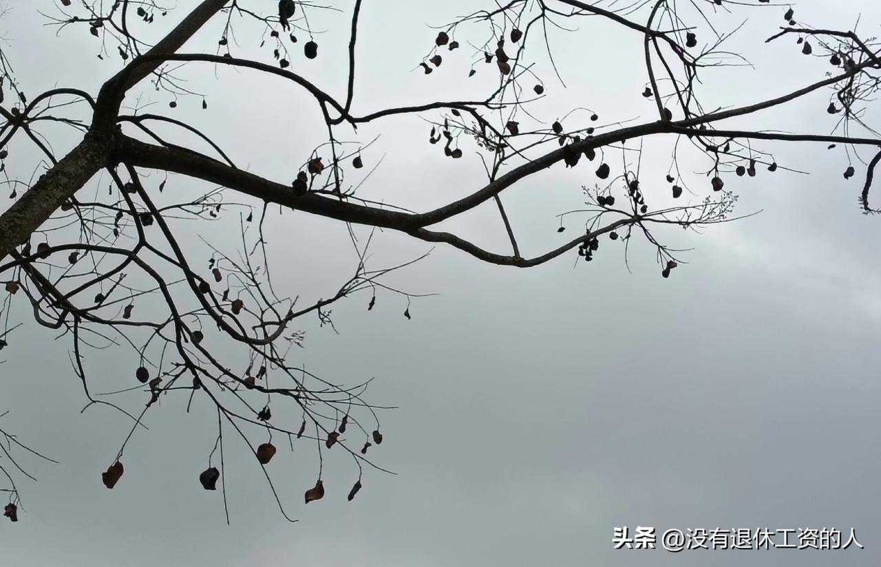 有没有人知道，僵尸粉一定要删除吗？

刚看了一个网友说，他总共才200多个粉丝，