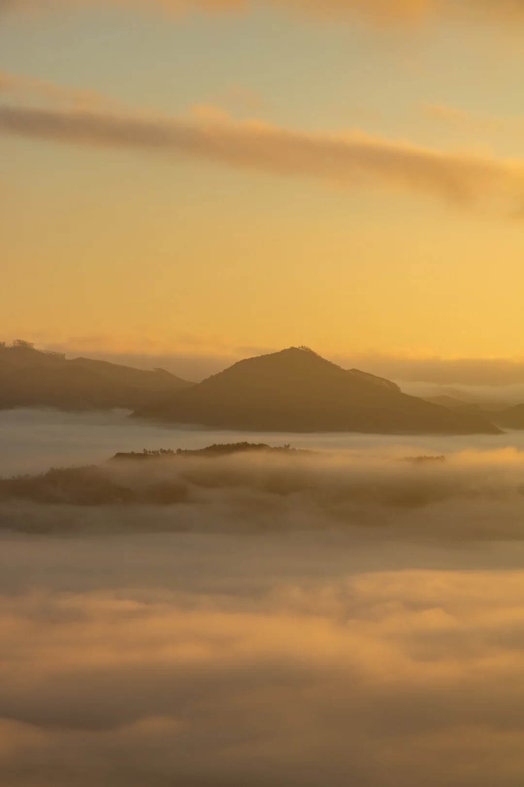 如果你也喜欢云海，不能错过这个地方‼️